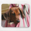 Search for miniature mousepads Puppies