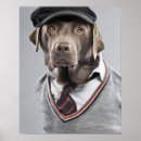 Search for sweater posters Animals