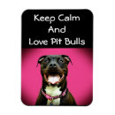 Search for pitbulls magnets Bully