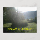 Search for my boyfriend postcards I love you