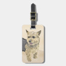 Search for norwich terrier Red