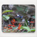 Search for hummingbird mousepads Flying