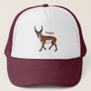 Search for pronghorn accessories Antilocapra americana