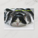 Search for fine art business cards America
