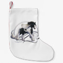 Search for gypsy vanner horse Irish cob