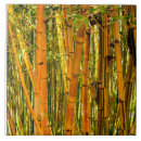 Search for 6 x 6 tiles Nature