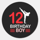 Search for karate kid stickers Judo