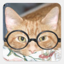 Search for ginger tabby stickers Kitty