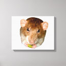 Search for fancy rat art Rodent