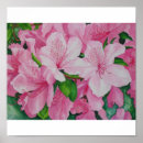 Search for azalea posters Floral