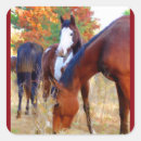 Search for horse picture stickers For kids