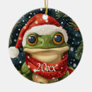 Search for santa frog christmas decor Festive