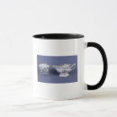 Search for octagonal mugs 18th