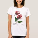 Search for bee balm tshirts Plant