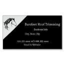 Search for hoof Hoof care