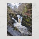 Search for dales postcards Nature