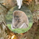 Search for monkey christmas tree decorations Animals in the wild