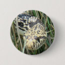 Search for snakes badges Nature