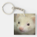 Search for ferret key rings Cute