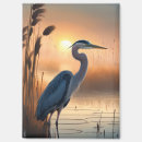 Search for marshes magnets Reeds