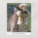 Search for wallaby Cute