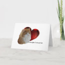 Search for maine coon cards Furry