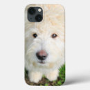 Search for breeds ipad cases Dog