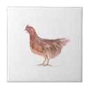 Search for farm animal tiles Farmyard