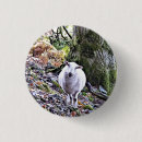Search for ewe badges Animals