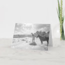 Search for vintage fishing photos postcards Western photographs