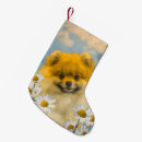 Search for pomeranian christmas stockings Puppy
