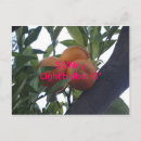 Search for bulb postcards Light