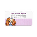 Search for ckc Cavalier king charles spaniel