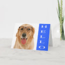 Search for golden puppy cards Puppies