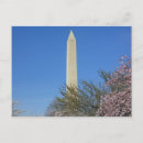 Search for washington monument postcards Cherry blossom
