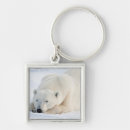 Search for carnivore key rings Big