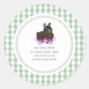 Search for brown bunny Flowers