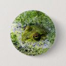 Search for reptiles badges Amphibian