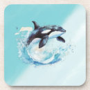 Search for oceans coasters Orca