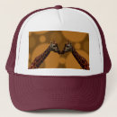 Search for giraffe hats Wildlife
