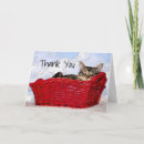 Search for basket cards Red