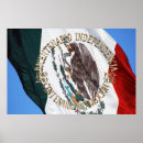 Search for spanish flag art Mexico