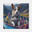 Search for heeler magnets Pet
