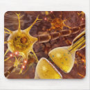 Search for neuron mousepads Anatomy