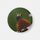 Search for bumble magnets Flower
