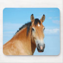 Search for equines mousepads Photography