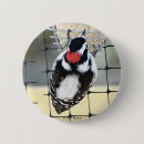 Search for woodpecker badges Birds