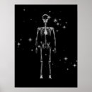 Search for x ray skeleton posters Skulls