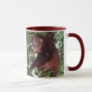 Search for save the rainforest mugs Conservation