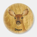 Search for mule magnets Animal